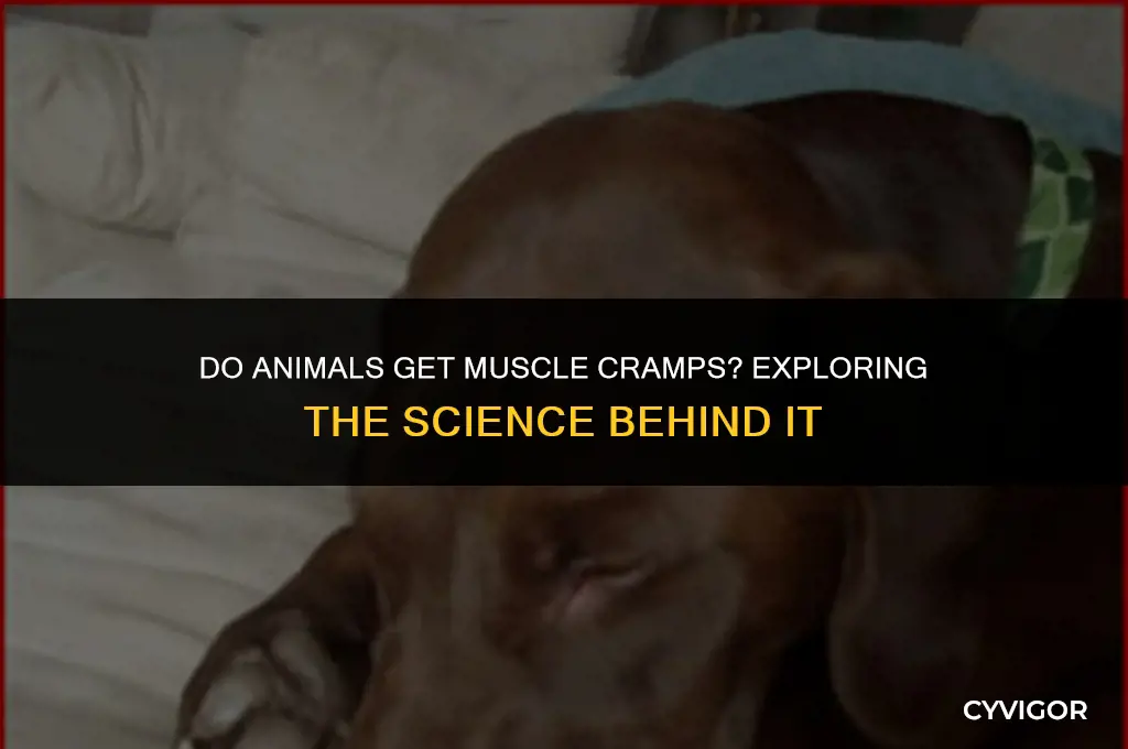 do animals get muscle cramps