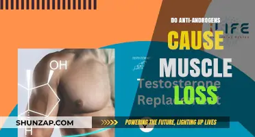 Anti-Androgens: Do They Cause Muscle Loss?