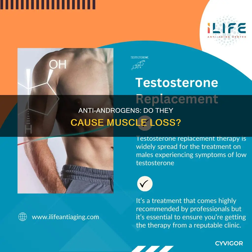 do anti-androgens cause muscle loss