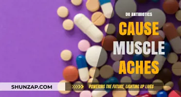 Antibiotics and Muscle Aches: What's the Link?