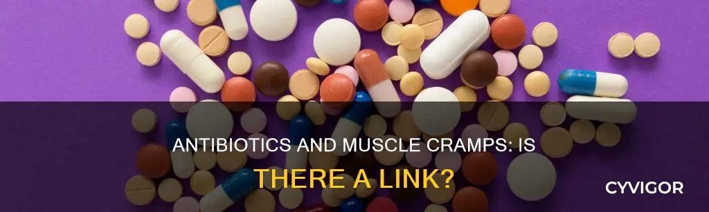 do antibiotics cause muscle cramps