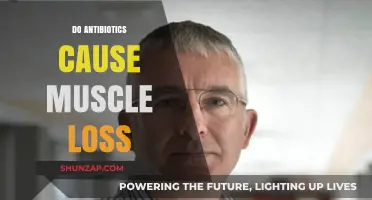 Antibiotics and Muscle Loss: What's the Link?