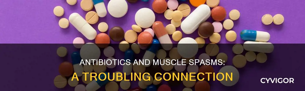 do antibiotics cause muscle spasms