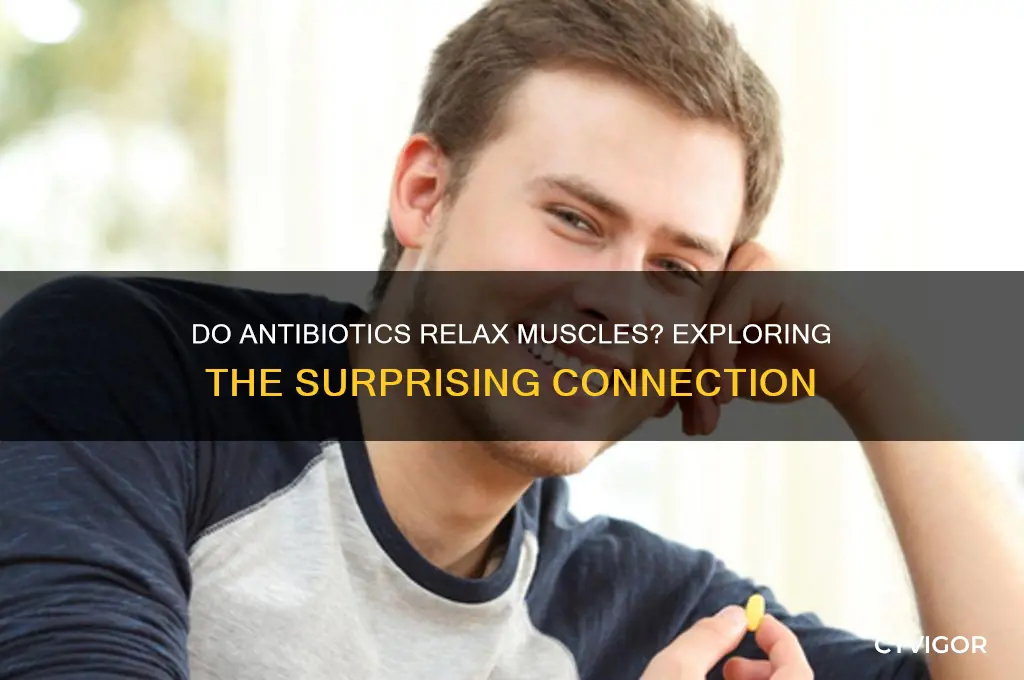 do antibiotics relax muscles