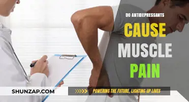 Antidepressants and Muscle Pain: What's the Link?
