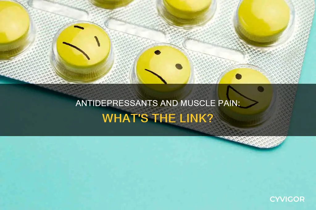 do antidepressants cause muscle pain