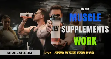 Do Muscle Supplements Deliver Results? Separating Fact from Fiction