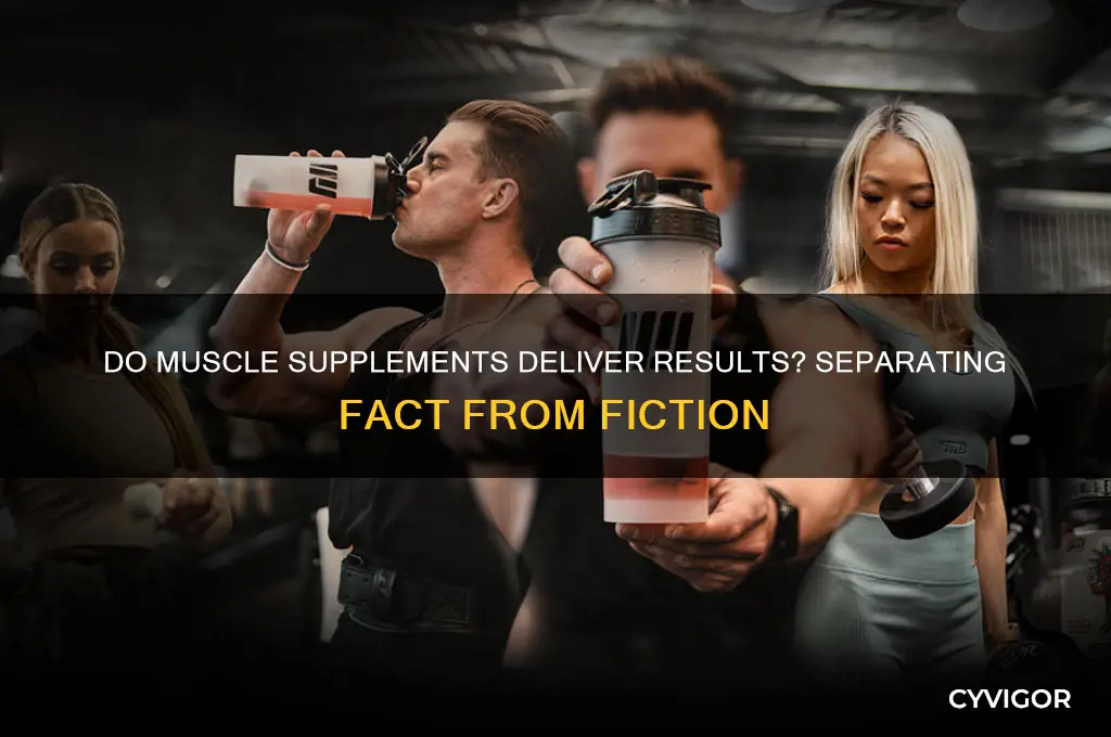 do any muscle supplements work