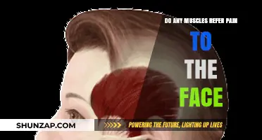 Facial Pain Origins: Exploring Muscles That May Refer Discomfort