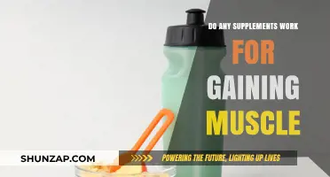 Do Muscle-Building Supplements Actually Work? Separating Fact from Fiction