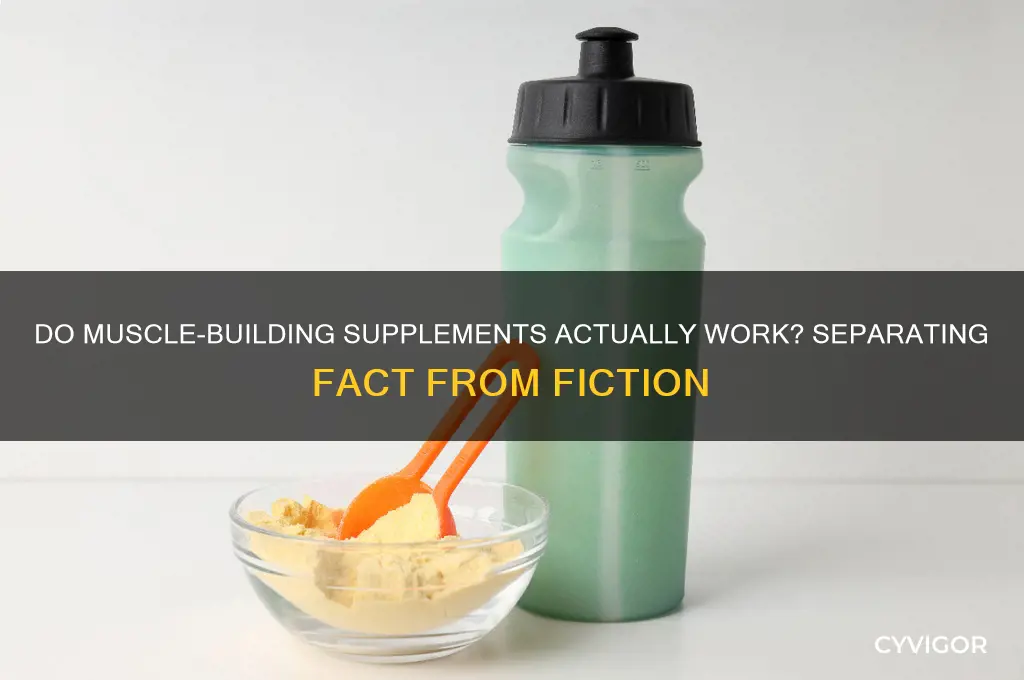 do any supplements work for gaining muscle