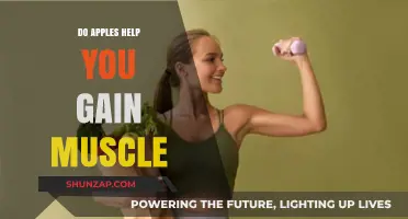 Can Apples Boost Muscle Growth? Unlocking Their Role in Fitness