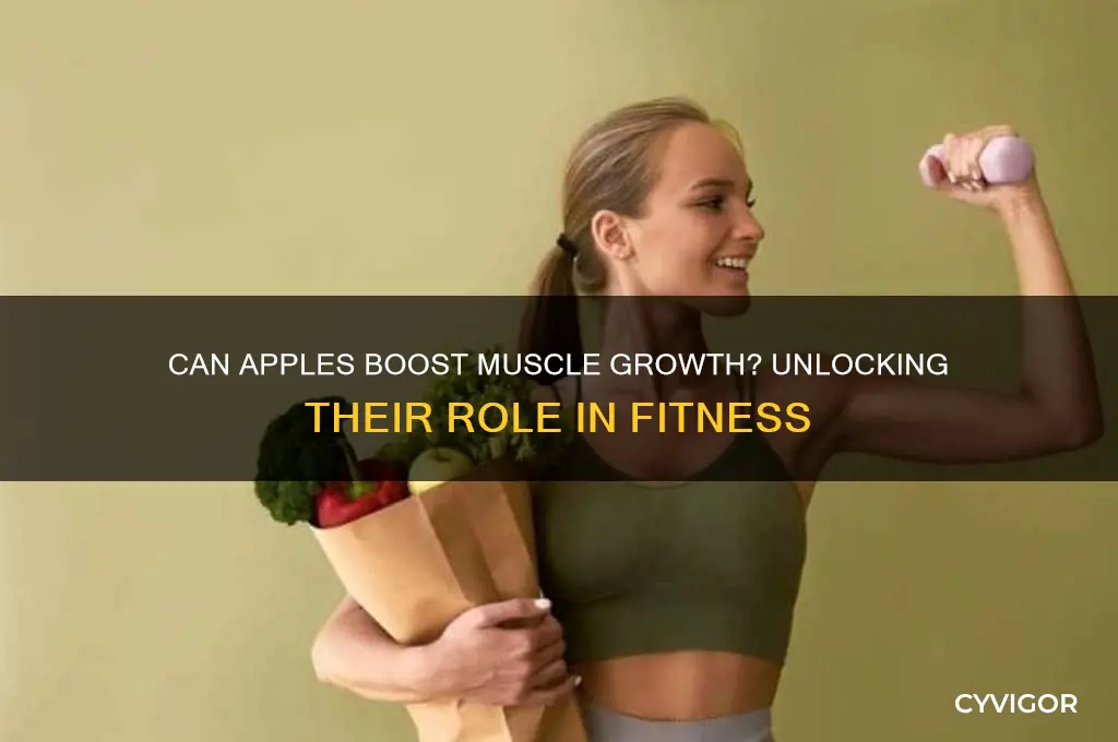 do apples help you gain muscle