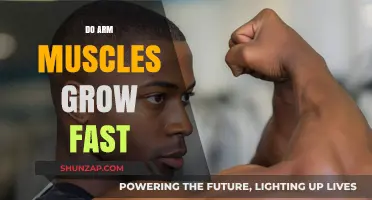 How Quickly Can Arm Muscles Grow? Factors and Tips for Fast Results