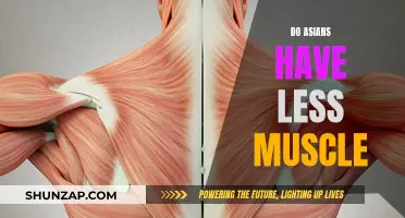 Asian Muscle Development: Fact or Fiction?