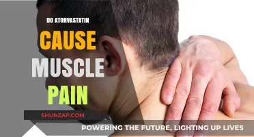 Atorvastatin and Muscle Pain: Is There a Link?