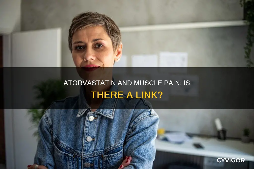do atorvastatin cause muscle pain