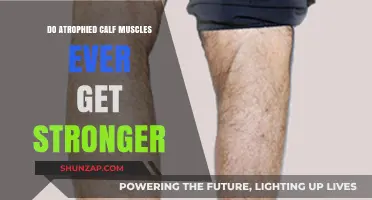 Reviving Strength: Can Atrophied Calf Muscles Regain Their Power?