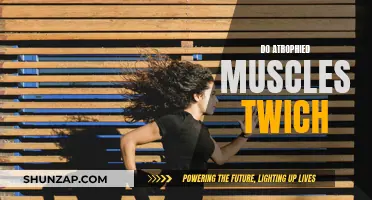 Atrophied Muscles: Can They Still Twitch?