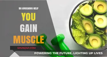 Avocados and Muscle Gain: Unlocking Nature's Power for Strength