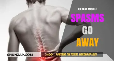 Relief in Sight: How to Treat and Prevent Back Muscle Spasms