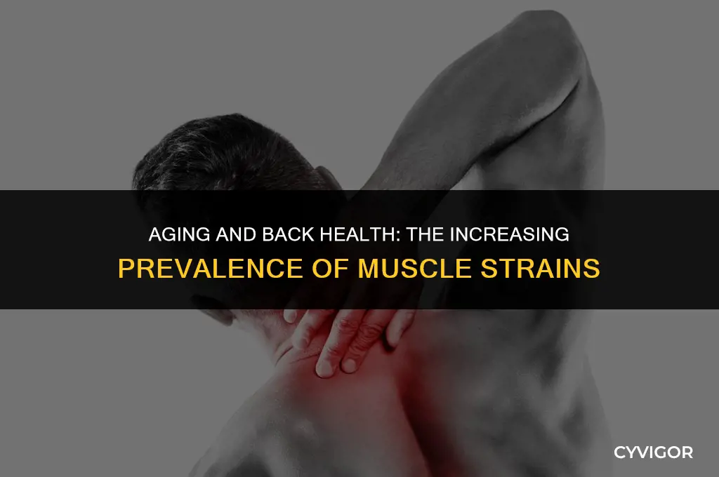 do back muscle strains become more common with age