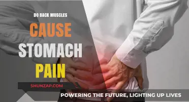 Back Muscle and Stomach Pain: What's the Link?