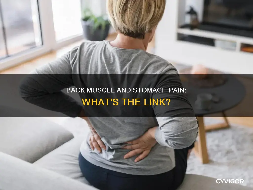 do back muscles cause stomach pain