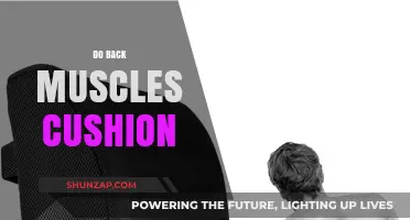 Do Back Muscles Act as Cushions? Exploring Their Shock-Absorbing Role