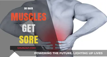Why Your Back Muscles Get Sore: Causes and Remedies