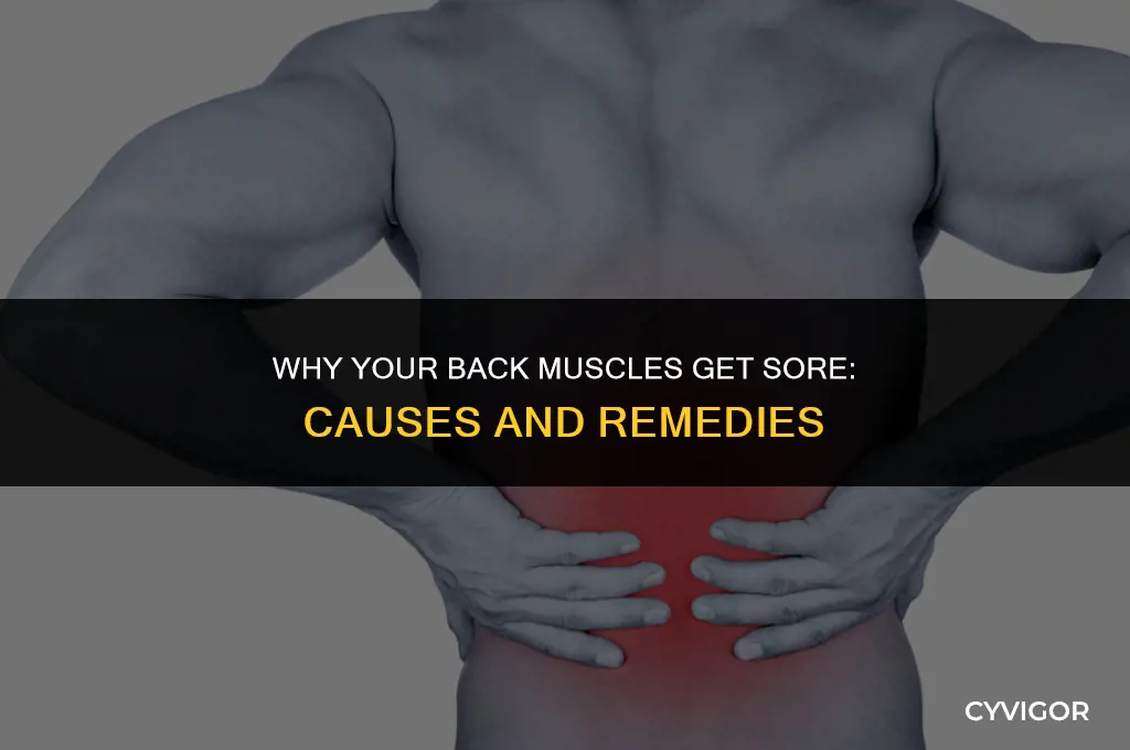 do back muscles get sore