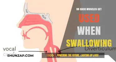 Exploring the Connection: Do Back Muscles Play a Role in Swallowing?