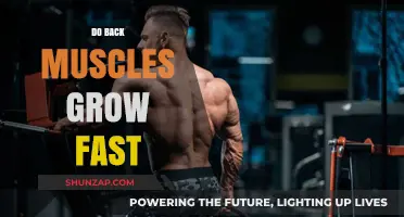 Unleashing the Power of Your Back Muscles: A Speedy Growth Guide