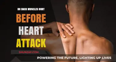 Back Pain: An Overlooked Symptom Before a Heart Attack?