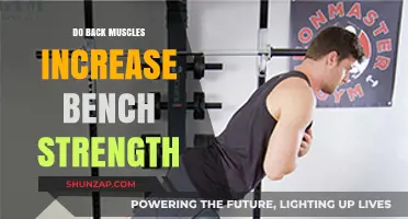 Unleashing Power: The Role of Back Muscles in Boosting Bench Strength
