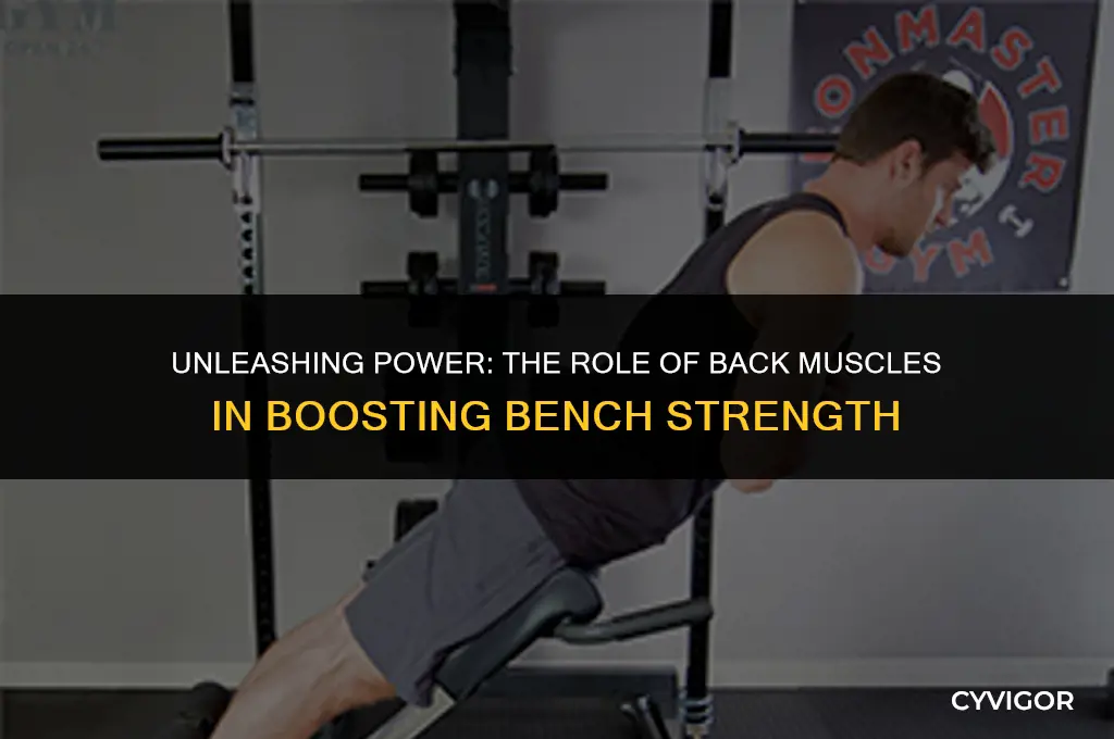 do back muscles increase bench strength