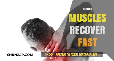 Speedy Recovery for Back Muscles: Facts and Tips