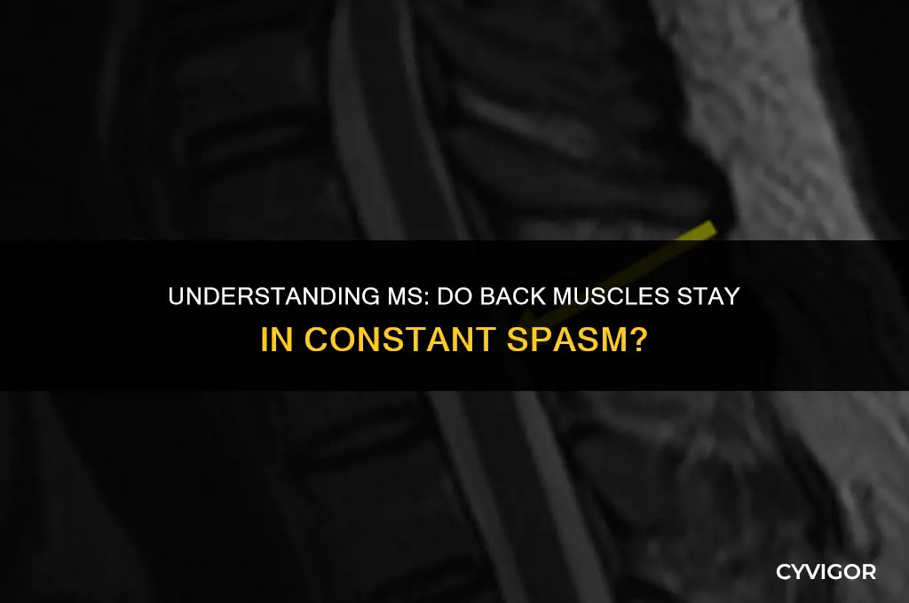 do back muscles stay in constant spasm with ms
