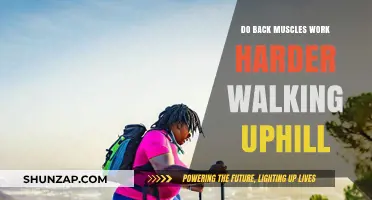 Walking Uphill: How Back Muscles Engage and Work Harder