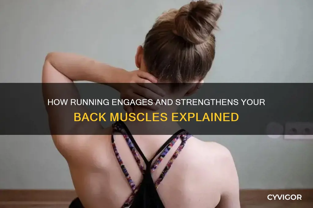 do back muscles work when running