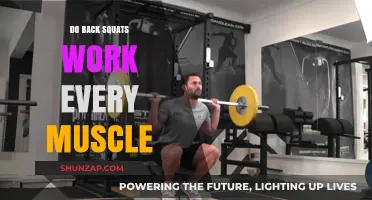 Back Squats: A Full-Body Workout or Targeted Muscle Builder?