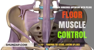 Exploring the Impact of Back Surgeries on Pelvic Floor Muscle Control