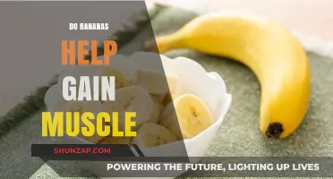 Bananas and Muscle Gain: Unlocking the Fruit's Fitness Potential