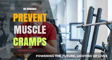 Unraveling the Myth: Do Bananas Really Prevent Muscle Cramps?