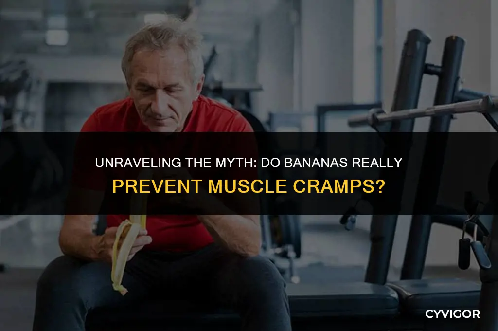 do bananas prevent muscle cramps