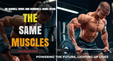 Barbell vs Dumbbell Rows: Targeting the Same Muscles?