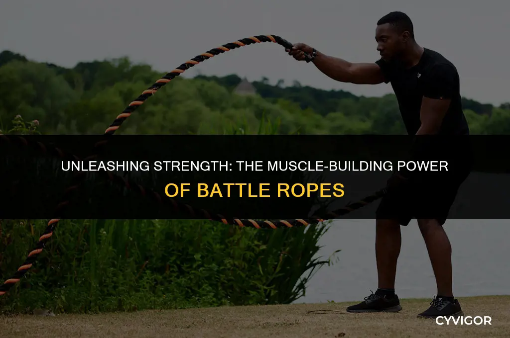 do battle ropes build muscle