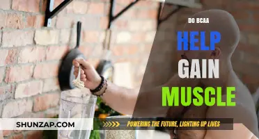Do BCAAs Help Gain Muscle? Unlocking the Science Behind Supplements