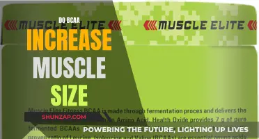 BCAA's Muscle-Building Power: Fact or Fiction?