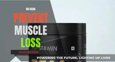 BCAA's Muscle-Protecting Power: Fact or Fiction?